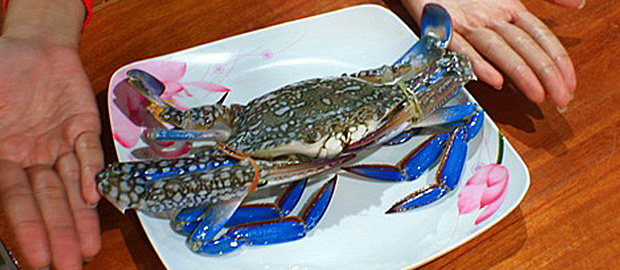 มื้อเย็นส่งท้ายที่ ร้านพยามซีฟู๊ด (Phayam Seafood)
