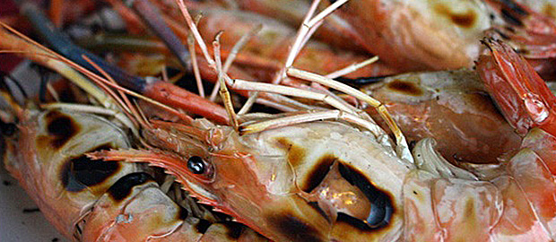 กุ้งเผา บ่อกุ้งบ้านสวน เชียงราย